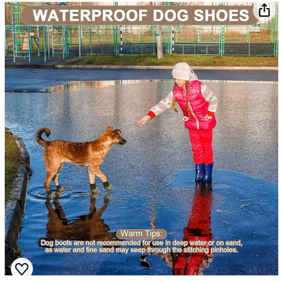 Size 6 Dog Shoes!! - Picture 11 of 12